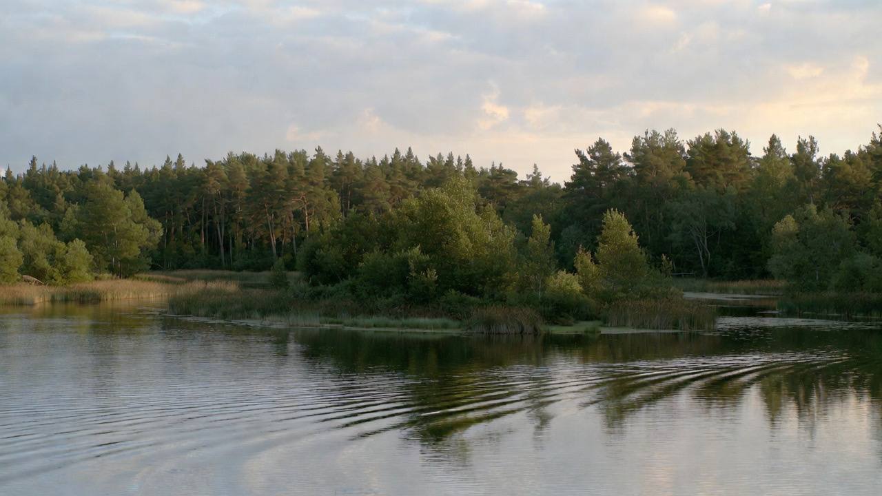 Sécurité en ski hors-piste : sensibilisation aux avalanches