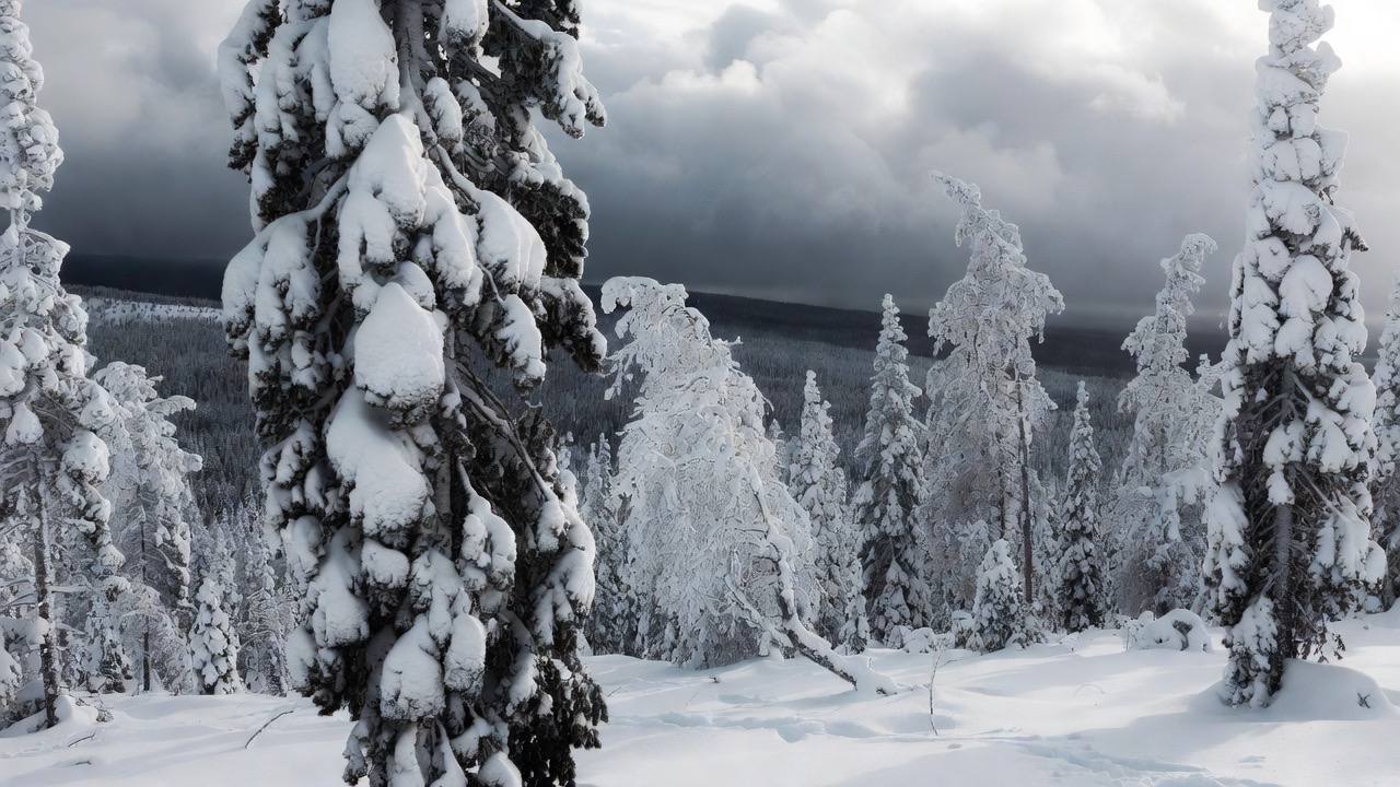 Golden hour en kayak : 3 baies du Réservoir Poisson Blanc