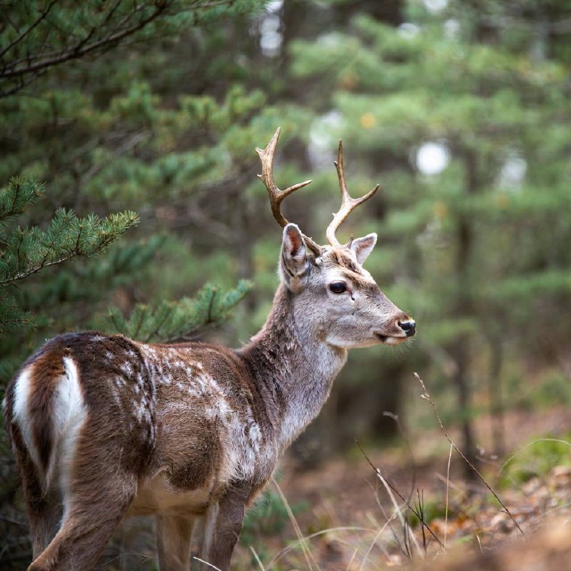 4 spots de la rivière Gatineau où le doré mord encore en août