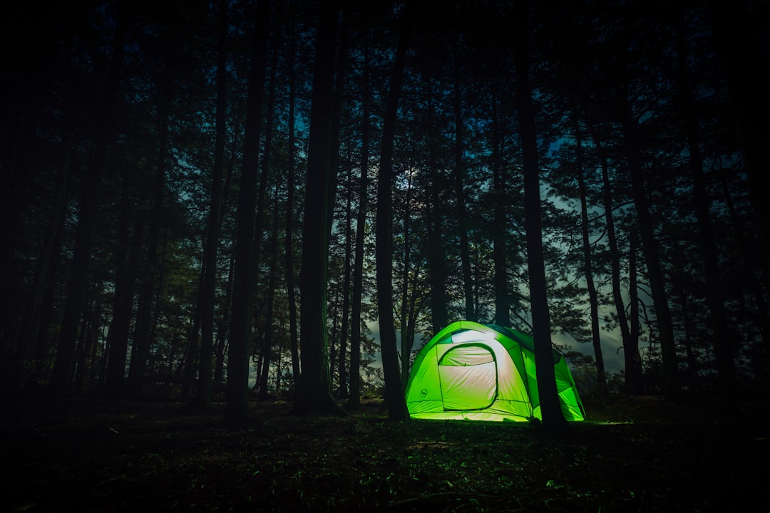 Tente d'arrière-pays illuminée au crépuscule dans une pinède du parc Algonquin