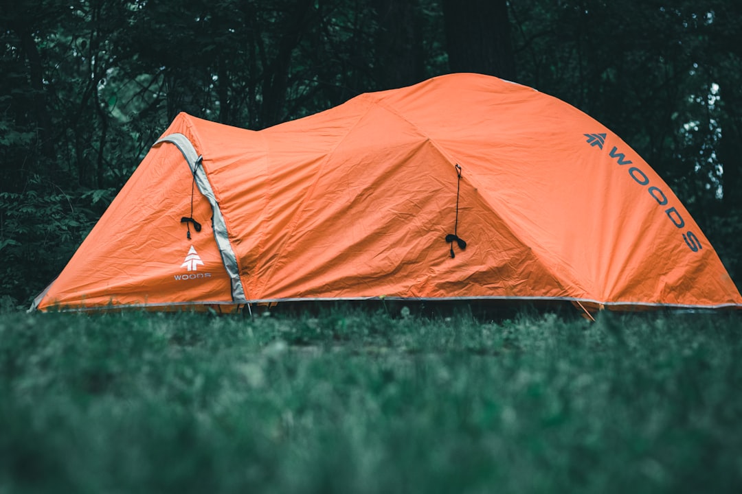 Tente orange d'arrière-pays plantée dans une forêt verte